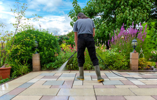 Best Fence Cleaning  in Lake Jackson, TX